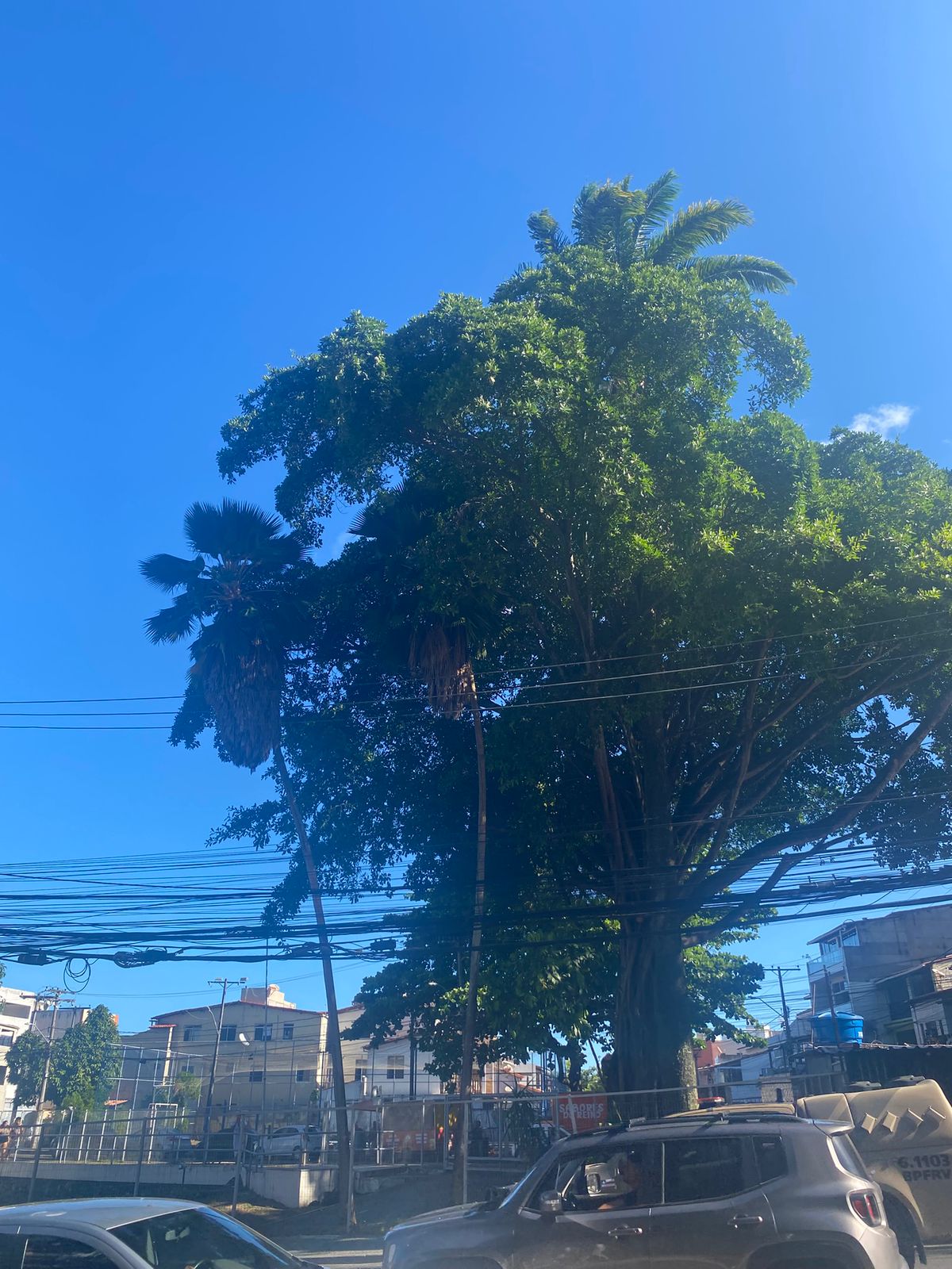 Atividade de campo 2