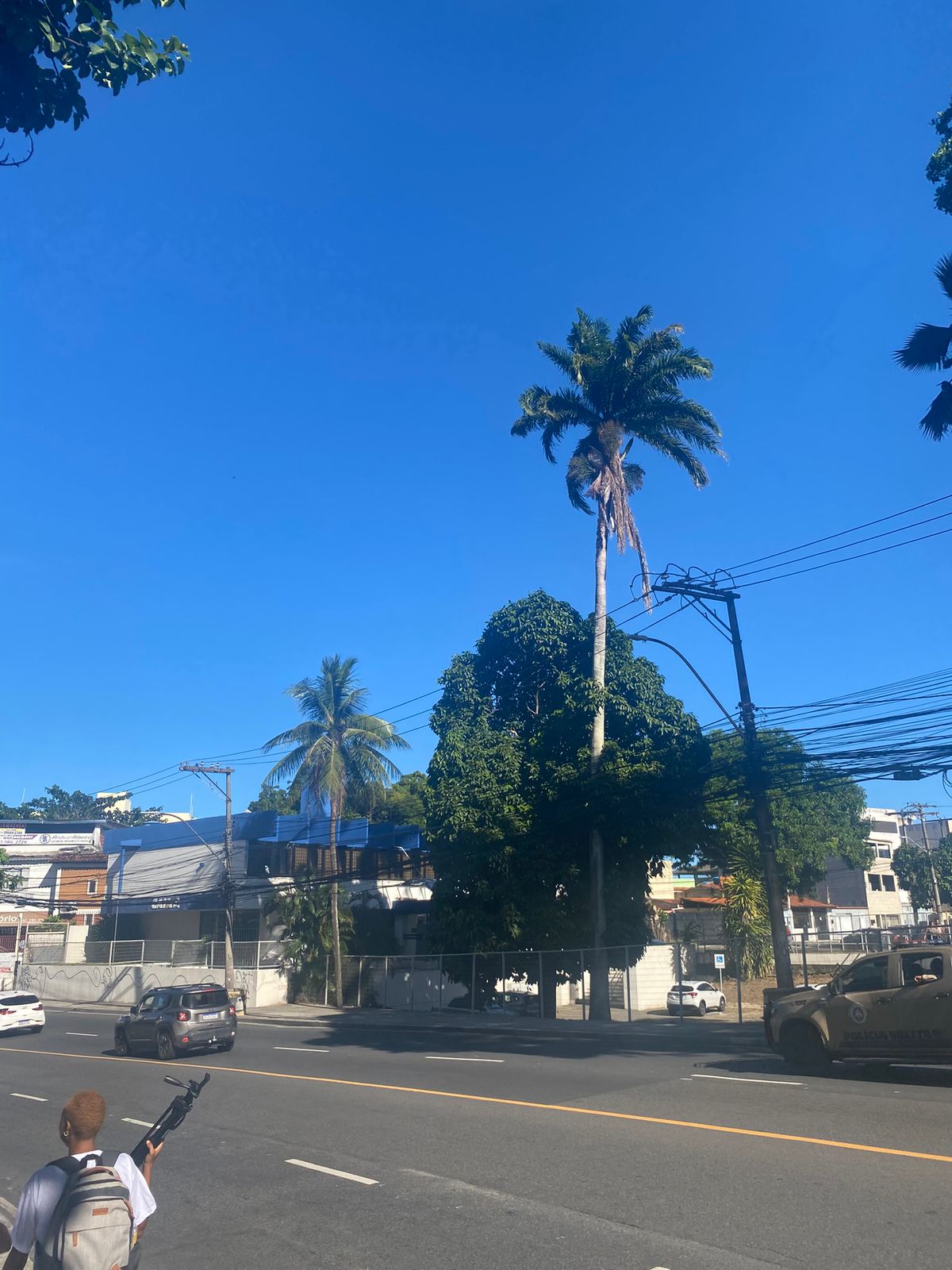 Atividade de campo 3
